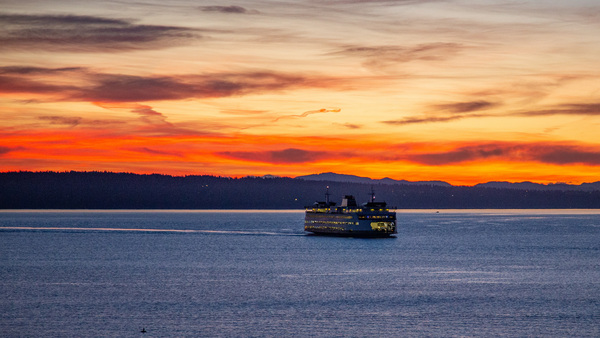 IMG 3227 by Tim Davis Images