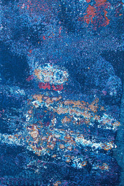 IMG 7762 Print