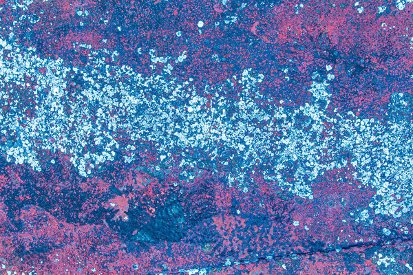 IMG 7771 Print
