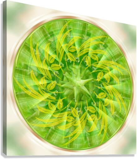 Mandala 3 Canvas Print