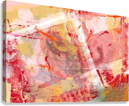 Abstract 2 Canvas Print
