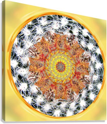 Mandala 2 Canvas Print