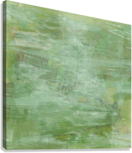 Mono Absinth Canvas Print