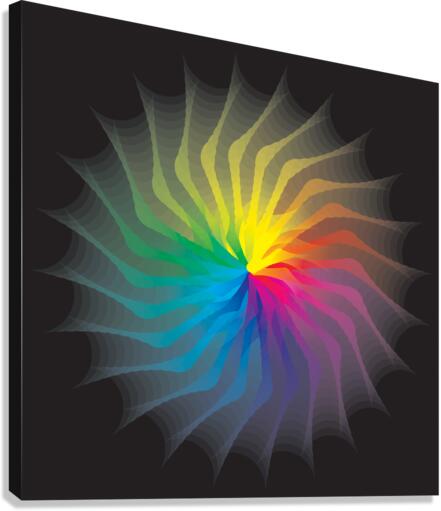 Rosace 3 Canvas Print