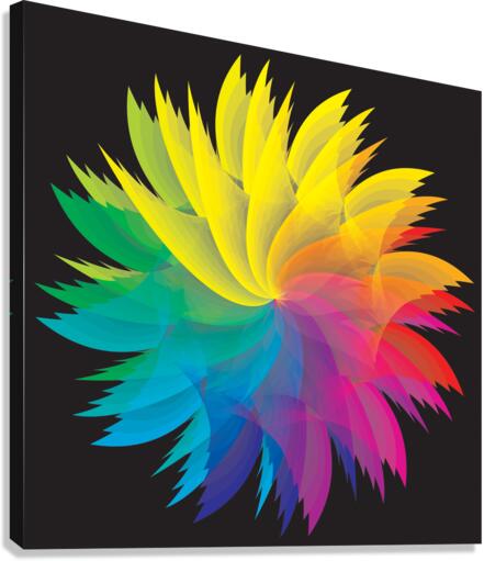 Rosace 5 Canvas Print