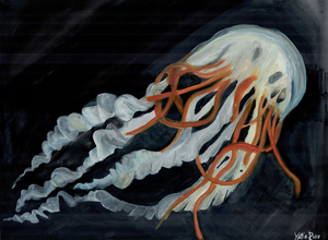 Jellyfish