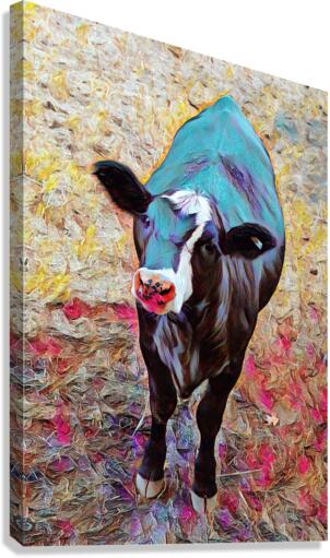 Blaze Face Calf  Canvas Print