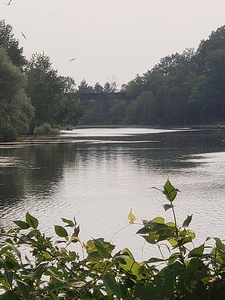 Waterford ponds and Black bridge