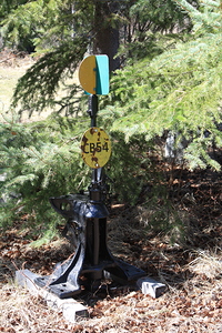 Railway crossing swtich