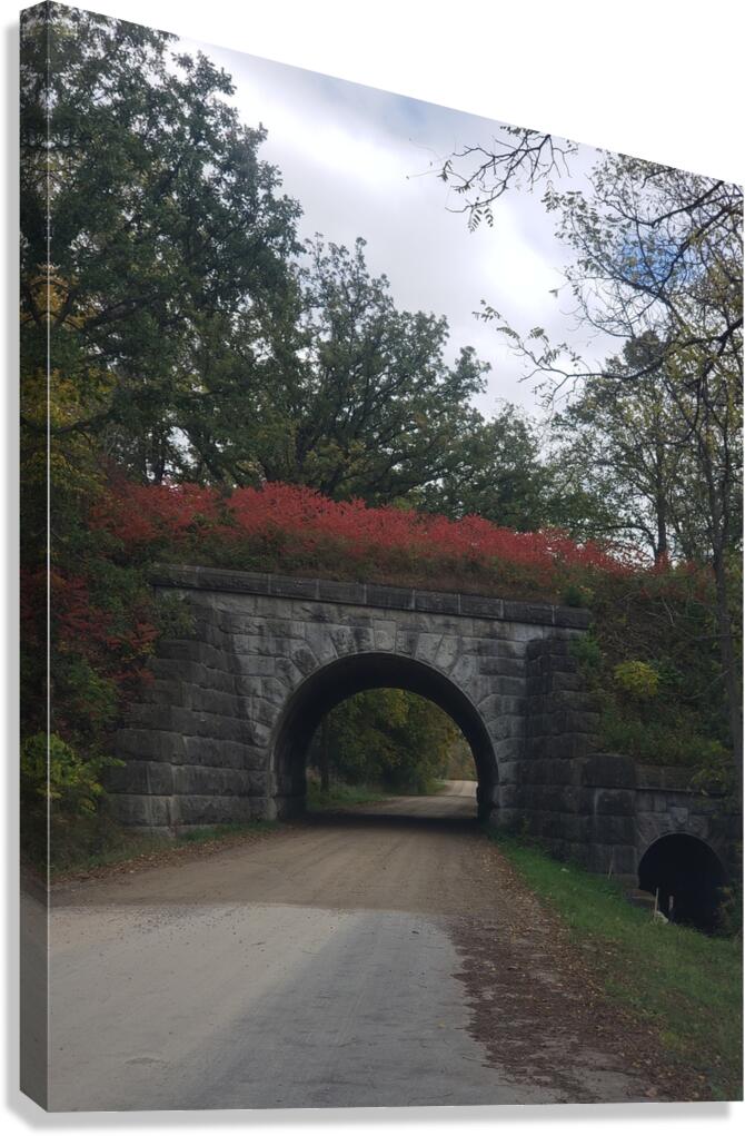 Stone bridge in the fall Canvas Print