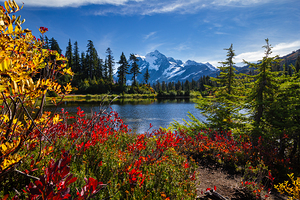 Mt. Shuksan Fall