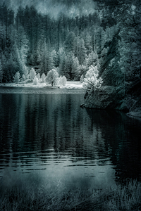 Enchanting Haze: Sylvan Lakes Smoky Pine Glow in Infrared