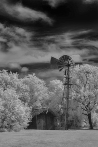 Solitude in Timber and Whee