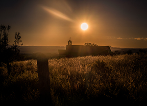 Silhouette in Sunlit Harmony