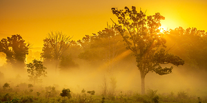 Misty Morning Glow: Dawn in Gettysburg
