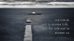 Essence of Life in Still Waters