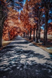 Infrared roadway