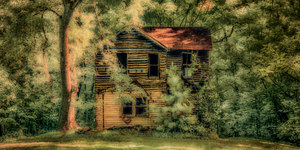 Unveiling the Mysteries of Brooms Island:  Abandoned