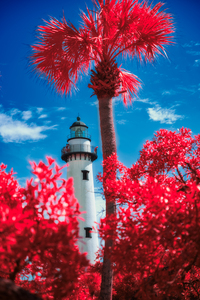 Whispers of Light: Crimson Lighthouse