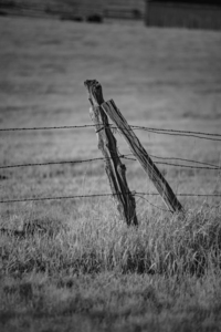 Fenceline Support