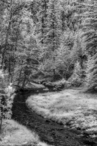 Monochrome Serenity: A Tranquil Stroll Along Grace Coolidge Creeks Black and White Infrared Stream in South Dakota