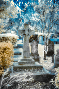 Discovering Saint Simons Island: The Enchanting Aura of A Celtic Blue Cross