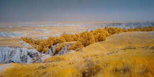 Golden Overview