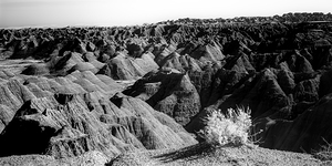 Shadows of the Earth: Tuft on the Edge