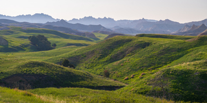 Verdant Horizons: Exploring the Green Badlands