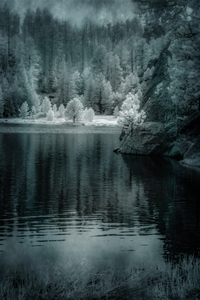 Enchanting Haze: Sylvan Lakes Smoky Pine Glow in Infrared