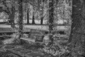 Echoes of Time: Garden Swing Serenity