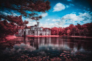 Newmans Castle: A Texan Tale in Infrared Bloom