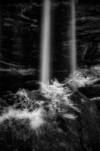 Shadows of Stillness