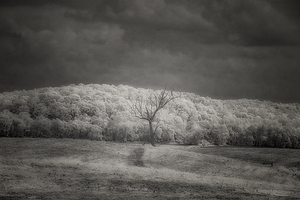 Luminous Isolation