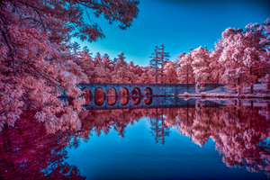 Infrared Oasis: Pink Arches