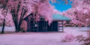 Infrared Delaware Barn