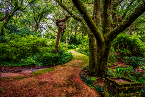 Exploring the Enchantment: A Journey through Elizabethan Gardens in Manteo North Carolina