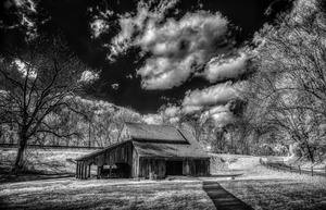 Monochrome Echoes: Capturing Timeless Tales in the Tennessee Countryside