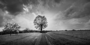 Majestic Solitude: An Evening Ride Through History