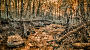 Ghostly Flow: Exploring Gettysburgs Bloody Run in Infrared