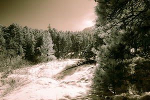 Chautauqua Chronicles: Around the bend