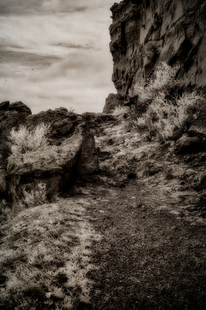 Silent Testaments of the Trail