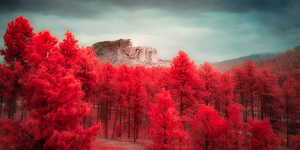 Crimson Dreamscape: Crazy Horse