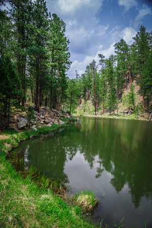 Whispers of Nature: Exploring Grace Coolidge Lakes Serenade of Silence