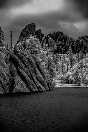 Sylvan Serenity: A Monochrome Tale of Natures Harmony in Custer State Park