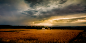 Farmland Sunset