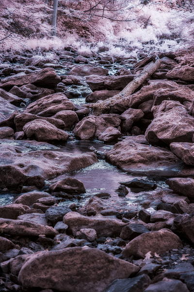 Mystical Creek Beneath the Purple Veil Print