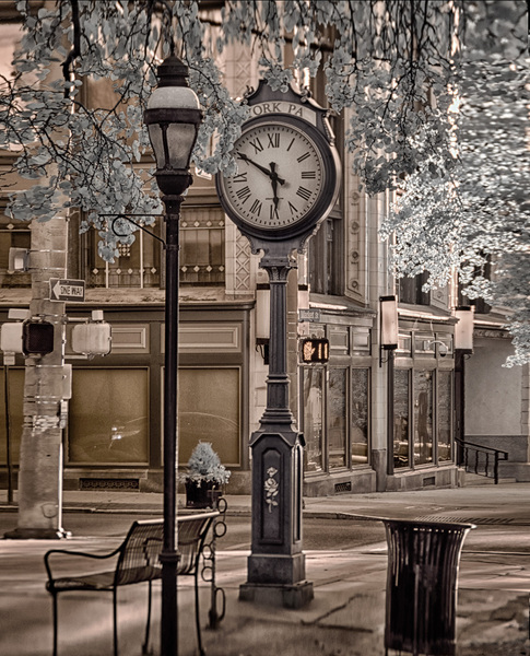 Timeless Elegance in York Print