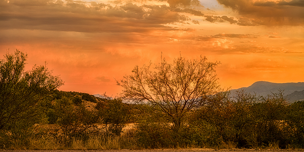 ETERNAL CALM OF DESERT HUES Print