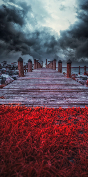 Storms Dance: A Memorable Infrared Moment on Brooms Island Maryland  Print